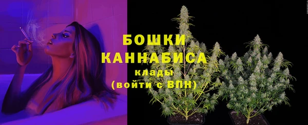 трава Горно-Алтайск