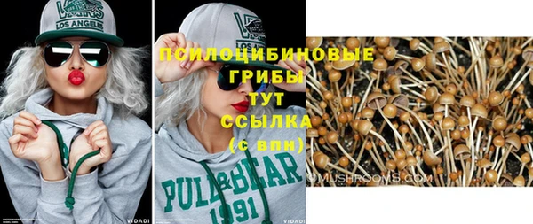 мескалин Горнозаводск