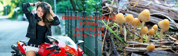 скорость mdpv Горняк