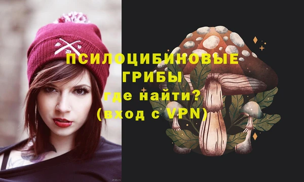 трава Горно-Алтайск