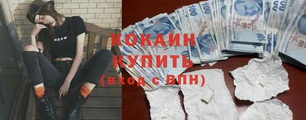 шишки Вязники