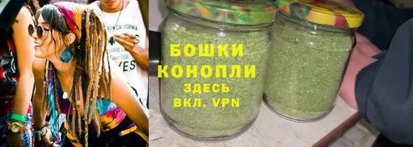 трава Горно-Алтайск
